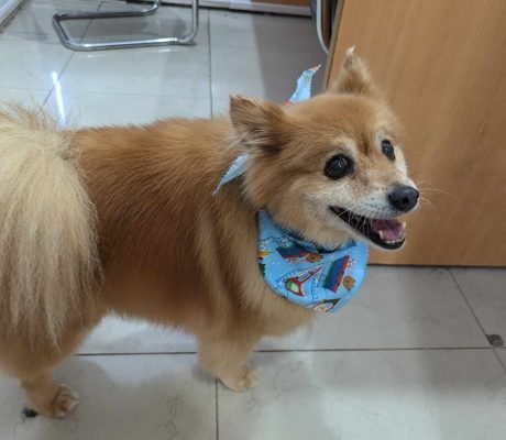 481967180_988299372738579_3854928612872145884_n