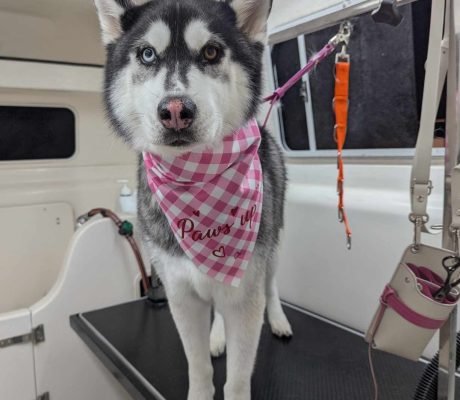 482812637_1773569820172289_5490972125481526655_n