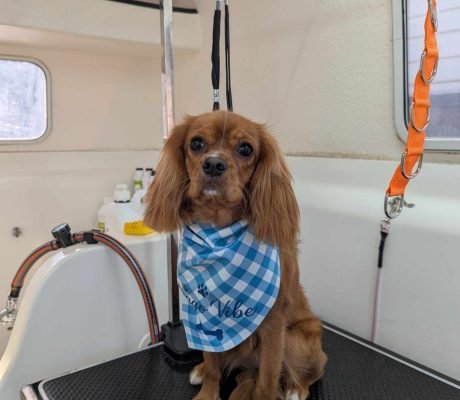 488398493_528920393301901_3342772780191322289_n