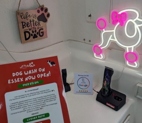 PXL_20250403_060219743