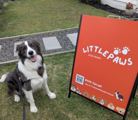 PXL_20250403_062106958